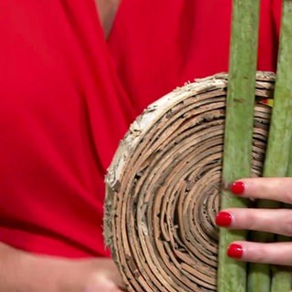 Tischschmuck mit Beeren und Protea