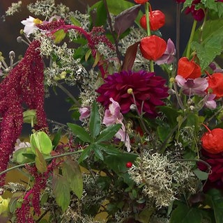 Ein Herbststrauß mit Flechten