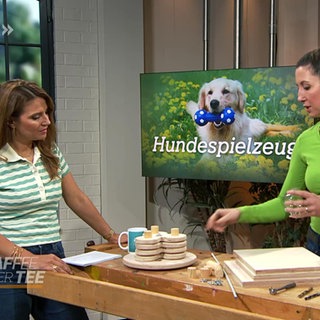 Hundespielzeug - selbst gebaut