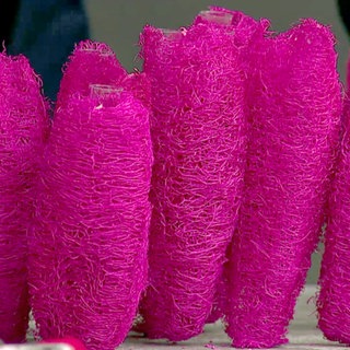 Herbstblüten in Luffa-Väschen