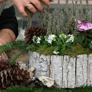 Pflanzschale für Allerheiligen