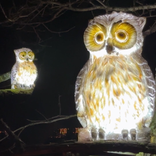 Beleuchtete Eulenfiguren