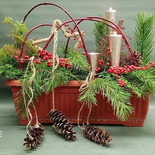 Stimmungsvoller Balkonkasten