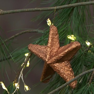 Stern aus Eierkarton (Pappmaché)