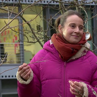 Frau zwischen zwei Bäumen