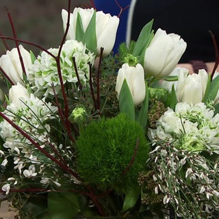 Strauß aus Tulpen, Bartnelken und Comus