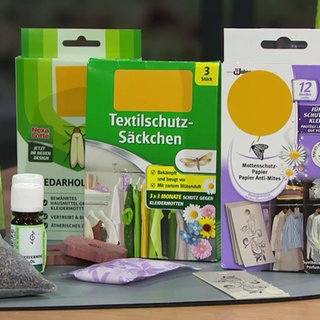 Das können Sie gegen Kleider- und Lebensmittelmotten tun