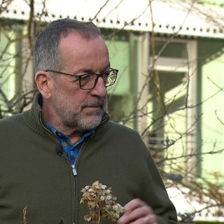 Experte Volker Kugel