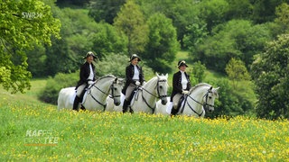 Drei Personen in historischer Kleidung reiten auf weißen Pferden über eine Wiese
