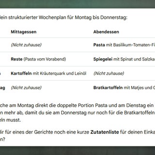 Erstellter Wochenplan
