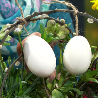 Österlicher Blütenschmuck für Balkonkasten und Pflanzkübel