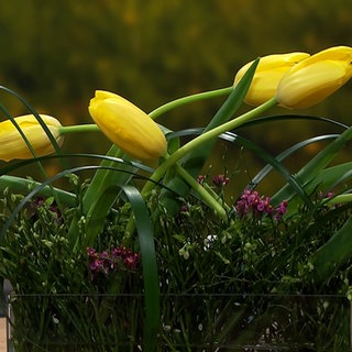 Elegante Tischdekoration mit französischen Tulpen