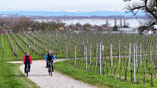 Ausflugsreporter Markus Bundt ist auf Entdeckungstour auf der Insel Reichenau