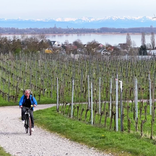 Ausflugsreporter Markus Bundt ist auf Entdeckungstour auf der Insel Reichenau
