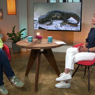 Moderatorin Evelin König sitzt zusammen mit Dr. Isabell Arnstein.