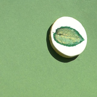 Selbstgemachter Magnet aus einem Blatt.