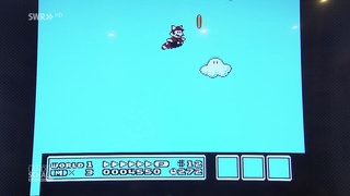 Super Mario Videospiel