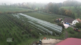 Hofgeschichten: Kältefest durch den Winter