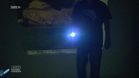 Nachts im Museum: Jagd auf ein borstiges Phantom