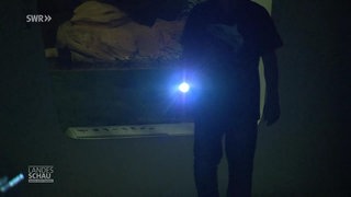 Nachts im Museum: Jagd auf ein borstiges Phantom