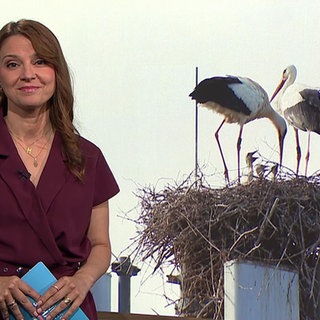 Moderatorin Fatma Mittler-Solak