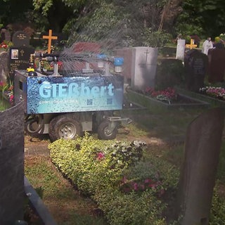Gießroboter "Gießbert" hilft auf dem Friedhof zu gießen