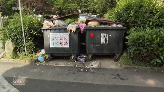 KI hilft bei Mülltrennung im Kreis Lörrach