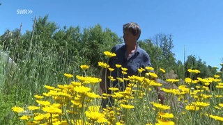 Klaus Lang läuft durch seinen Naturgarten vor gelben Blumen