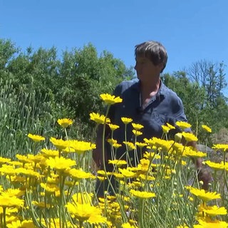 Klaus Lang läuft durch seinen Naturgarten vor gelben Blumen