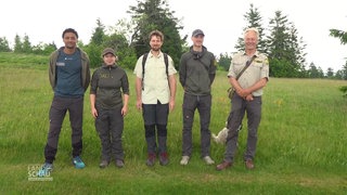 Feldberg- & Kandel-Ranger