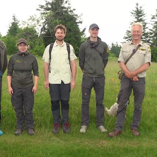 Feldberg- & Kandel-Ranger