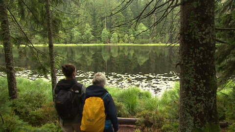 Zwei Wanderer stehen am Herrenwieser See