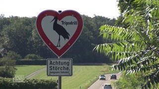 Ein Storchenschild des Tripsdrill-Erlebnisparks über einer Straße