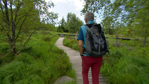 Wanderer auf dem  Lotharpfad