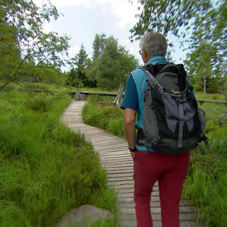 Wanderer auf dem  Lotharpfad