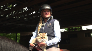 Kater Simba sitzt entspannt auf dem Rücken eines Pferdes und blickt aufmerksam zur Kamera.