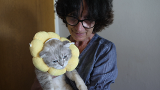 Heidrun Mahl hält eine ihrer Katzen liebevoll im Arm – Sinnbild für ihr Engagement im Tierschutz und die Rettung von Streunerkatzen.