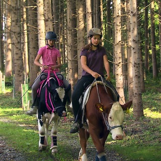 Zwei Mädchen reiten auf Kühen durch einen Nadelwald.