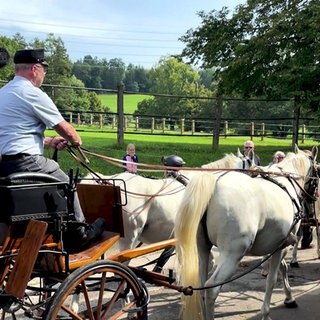 Gestüt Marbach - ein Mann lenkt eine Kutsche, links im Bild ist ein Kamerateam zu sehen.