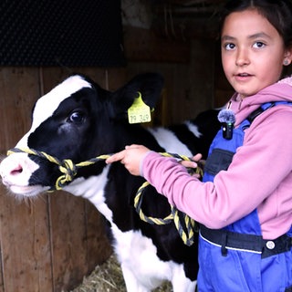 Die 9-jährige Mira nimmt mit ihrem Kalb am Jungzüchtertag 2025 in Bad Waldsee teil. Sie steht mit dem Kalb im Stall.