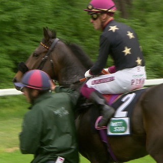 Rennpferd und Jockey auf der Waldrennbahn Seckenheim