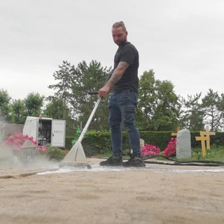 Invasion der Ameisen