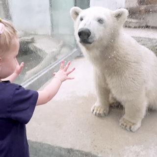 Eisbär Mika und ein kleines Mädchen