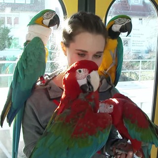 Anke und ihre drei Aras in der U-Bahn