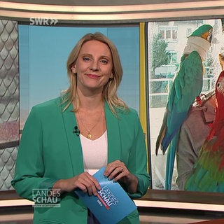 Moderatorin  Jana Kübel