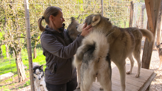 Simone Kaiser und ihre Huskys.