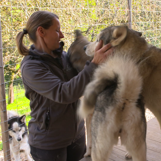 Simone Kaiser und ihre Huskys.