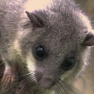 Siebenschläfer im Raum der Stille in der Uni Hohenheim.