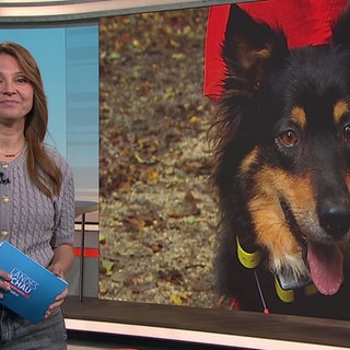 Moderatorin Fatma Mittler Solak