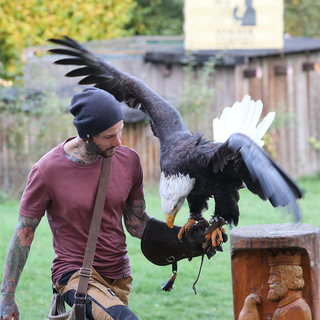 Erik Pelz ist Greifvogel-Experte.